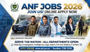 ANF jobs 2026
